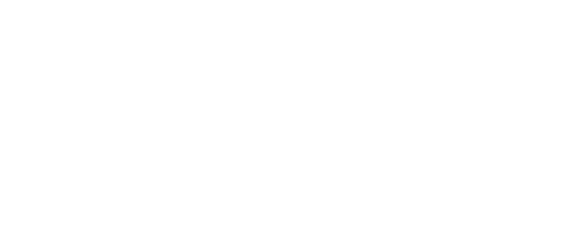 Bacci Guitars